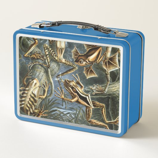 Ernst Haeckel-Vielzahl der exotischen Frösche: Metall Brotdose (Rückseite)