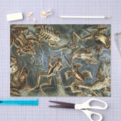 Ernst Haeckel-Vielzahl der exotischen Frösche: Seidenpapier (Handwerk)