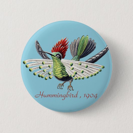 Ernst Haeckel Vintag Hummingbird Bird Button (Vorderseite)