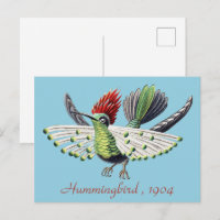 Ernst Haeckel Vintag Hummingbird Bird