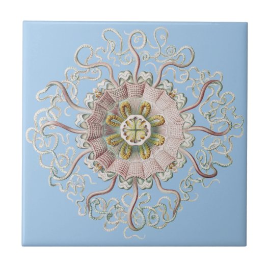 Ernst Haeckel Vintag Jellyfish Marine Life Fliese (Vorderseite)