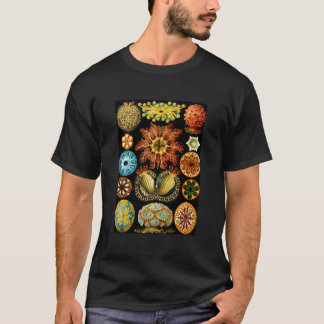 Ernst Haeckel Vintage biologische Illustration Asc T-Shirt