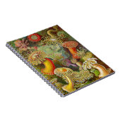 Ernst Haeckel's Actinae Ocean Life Notizblock (Rechte Seite)