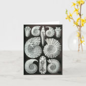 Ernst Haeckels Ammoniten Karte (Gelbe Blume)