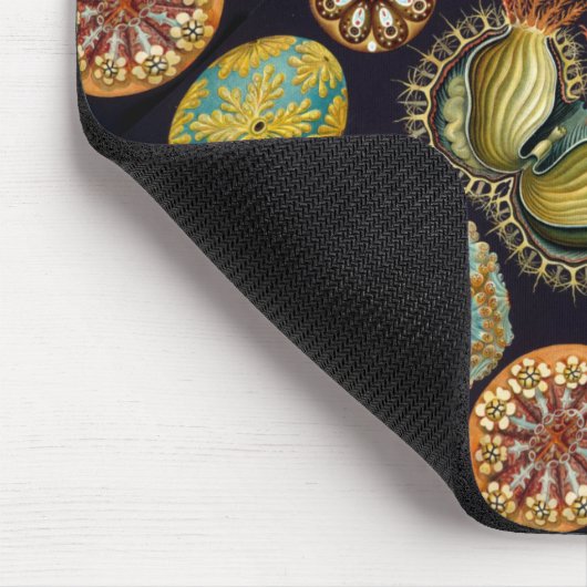 Ernst Haeckels Ascidiae Ozean-Leben Mousepad (Ecke)