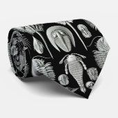 Ernst Haeckels Aspidonia Krawatte (Gerollt)