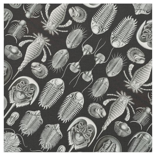 Ernst Haeckels Aspidonia Stoff (Nahaufnahme)