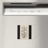 Ernst Haeckels "Baum des Lebens" Magnet (In Situ (Geschirrspüler))