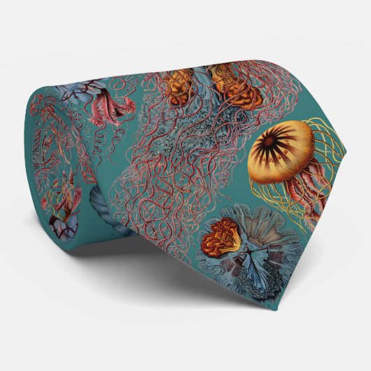 Ernst Haeckels Disco Medusae Krawatte (Gerollt)