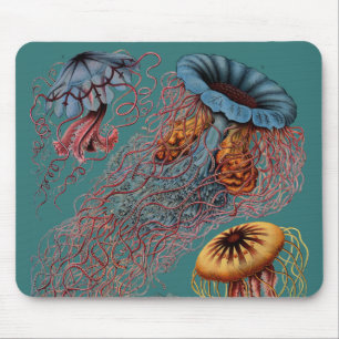 Ernst Haeckels Disco Medusae Mousepad