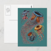 Ernst Haeckel's Disco Medusae Postkarte (Vorne/Hinten)