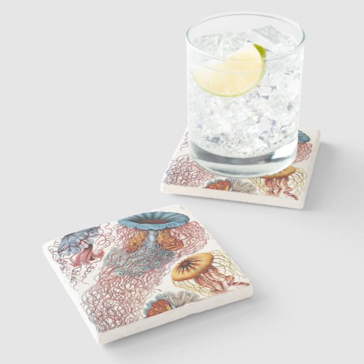 Ernst Haeckels Discomedusae Steinuntersetzer (Seitenansicht)