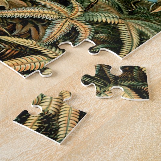 Ernst Haeckel's Filicinae (Baum Ferns) Jigsaw Puzz Puzzle (Seite)