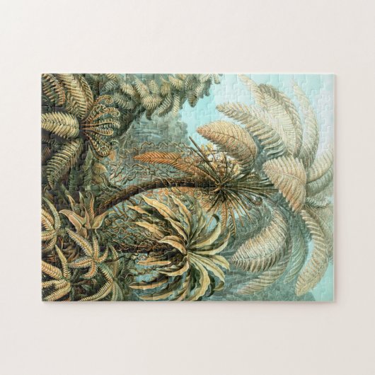 Ernst Haeckel's Filicinae (Baum Ferns) Jigsaw Puzz Puzzle (Horizontal)