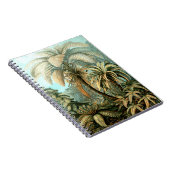 Ernst Haeckel's Filicinae (Tree Ferns) Notebook Notizblock (Rechte Seite)