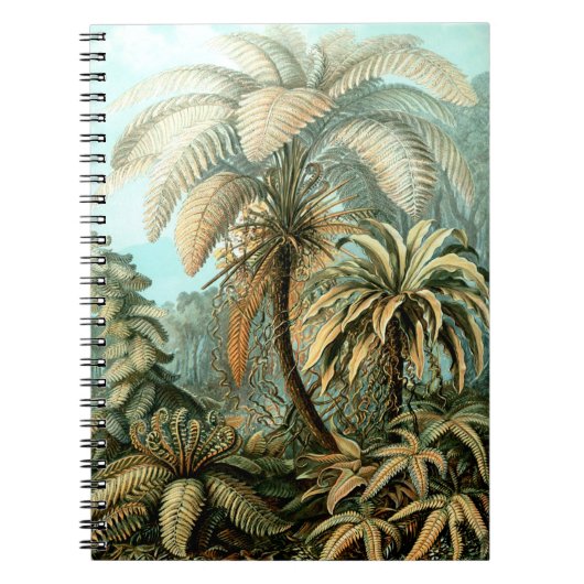 Ernst Haeckel's Filicinae (Tree Ferns) Notebook Notizblock (Vorderseite)