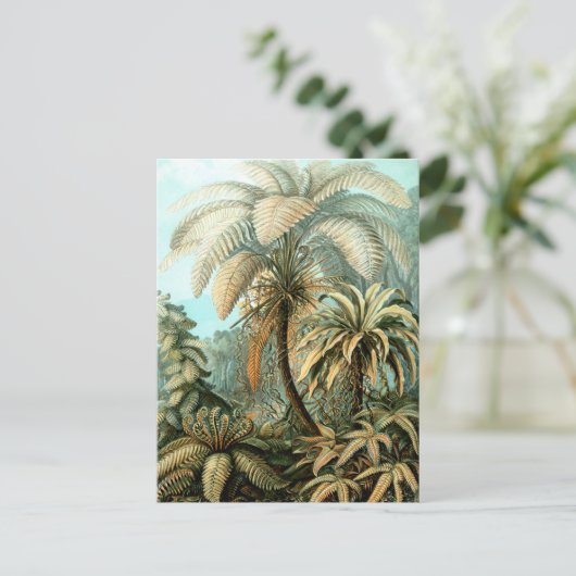 Ernst Haeckel's Filicinae (Tree Ferns) Postkarte (Stehend Vorderseite)