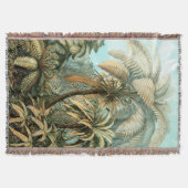 Ernst Haeckel's Filicinae (Tree Ferns) werfen Leer Decke (Vorderseite)