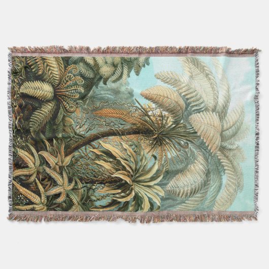 Ernst Haeckel's Filicinae (Tree Ferns) werfen Leer Decke (Vorderseite)