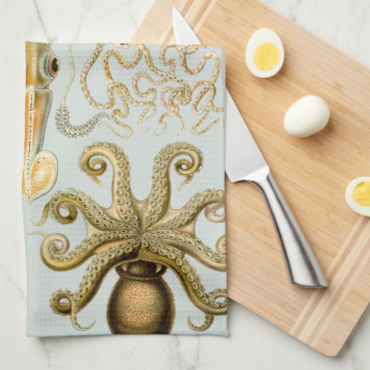 Ernst Haeckels Gamochonia Geschirrtuch (Viertel Falte)