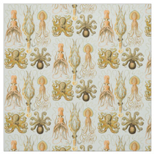 Ernst Haeckels Gamochonia Stoff