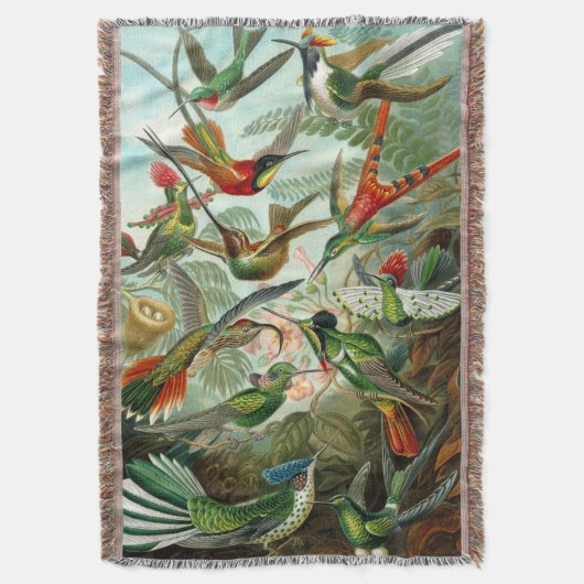 Ernst Haeckel's Gorgeous Hummingbirds Decke (Vorderseite Vertikal)