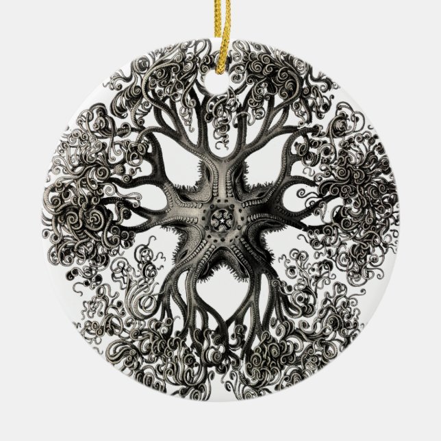 Ernst Haeckels Gorgonocephalidae Keramik Ornament (Vorne)