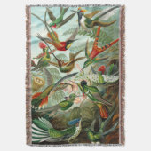 Ernst Haeckel's Hummingbirds Decke (Vorderseite Vertikal)