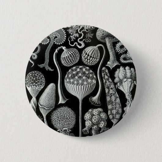 Ernst Haeckel's Mycetozoa Button (Vorderseite)