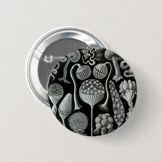 Ernst Haeckel's Mycetozoa Button (Vorne & Hinten)