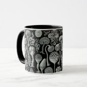 Ernst Haeckels Mycetozoa Tasse (Vorderseite Links)