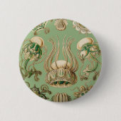 Ernst Haeckels Narcomedusae Button (Vorderseite)