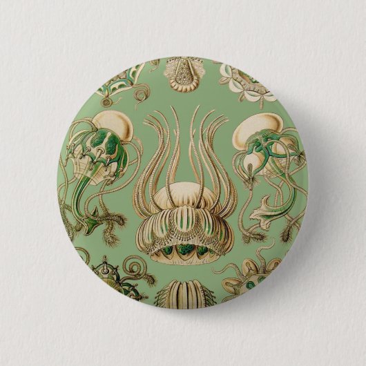Ernst Haeckels Narcomedusae Button (Vorderseite)