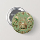 Ernst Haeckels Narcomedusae Button (Vorne & Hinten)