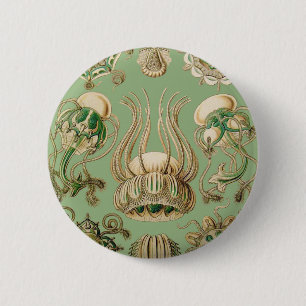 Ernst Haeckels Narcomedusae Button