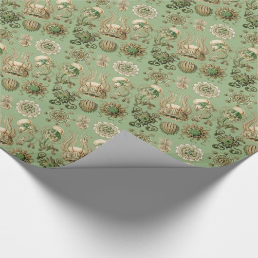 Ernst Haeckels Narcomedusae Geschenkpapier (Ecke)