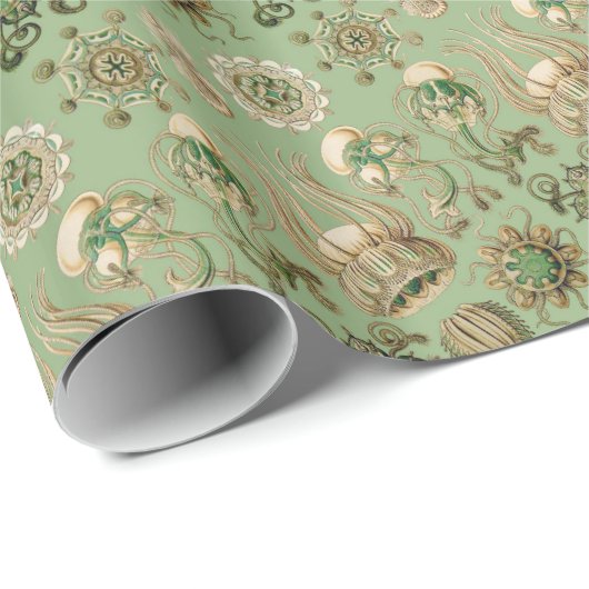Ernst Haeckels Narcomedusae Geschenkpapier (Rolleneckpunkt)