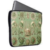Ernst Haeckels Narcomedusae Laptopschutzhülle (Vorne Rechts)