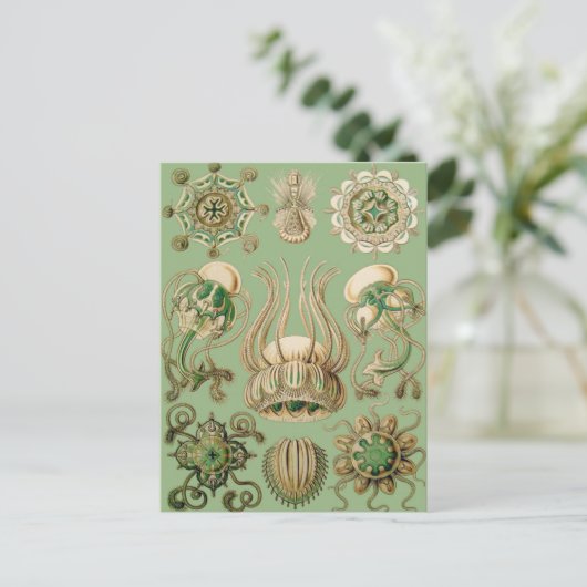 Ernst Haeckel's Narcomedusae Postkarte (Stehend Vorderseite)