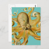 Ernst Haeckel's Octopus Postkarte (Vorne/Hinten)