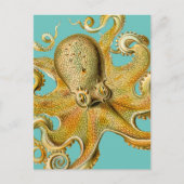 Ernst Haeckel's Octopus Postkarte (Vorderseite)