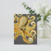 Ernst Haeckel's Octopus Postkarte (Stehend Vorderseite)