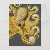 Ernst Haeckel's Octopus Postkarte (Vorderseite)