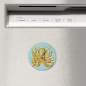 Ernst Haeckels Oktopus Magnet (In Situ (Geschirrspüler))