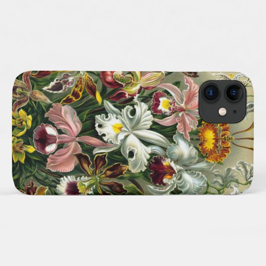 Ernst Haeckel's Orchidaceae Case-Mate iPhone Case (Rückseite (Horizontal))