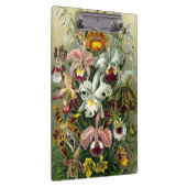 Ernst Haeckel's Orchidaceae Clipboard Klemmbrett (Rechts)