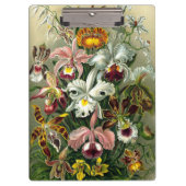 Ernst Haeckel's Orchidaceae Clipboard Klemmbrett (Vorderseite)