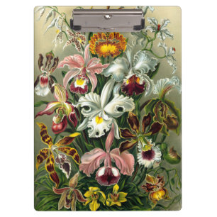Ernst Haeckel's Orchidaceae Clipboard Klemmbrett