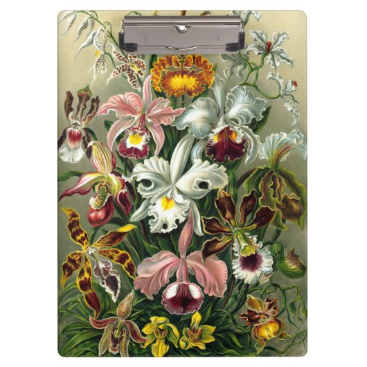 Ernst Haeckel's Orchidaceae Clipboard Klemmbrett (Vorderseite)