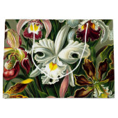 Ernst Haeckel's Orchidaceae Large Gift Bag Große Geschenktüte (Vorderseite)